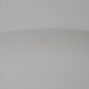 [1271499] Servierplatte groß 45,5x33,7 cm Rosenthal Perlrand Weiß gebraucht - akzeptabel Bild 6