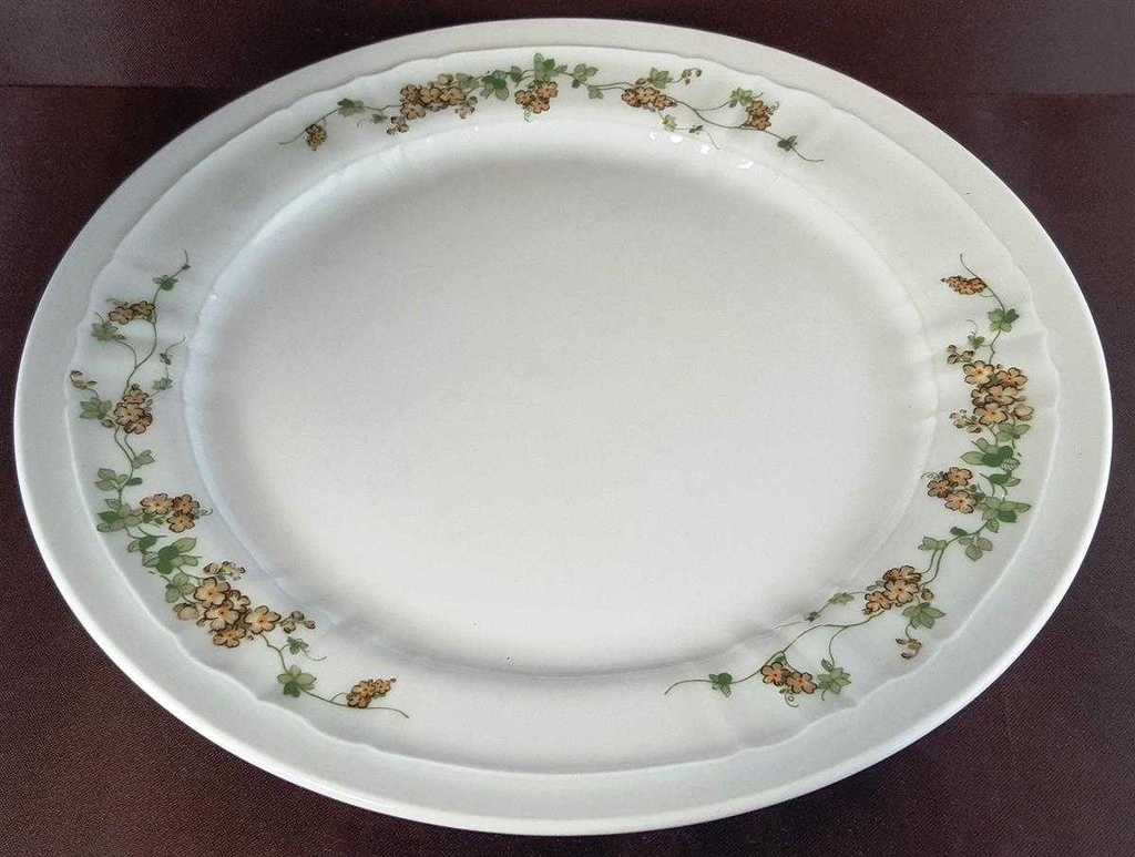 [129283] Kuchenteller Dessertteller 19,4 cm Eschenbach Salzburg braun grüne Ranke gebraucht - sehr gut Bild 2