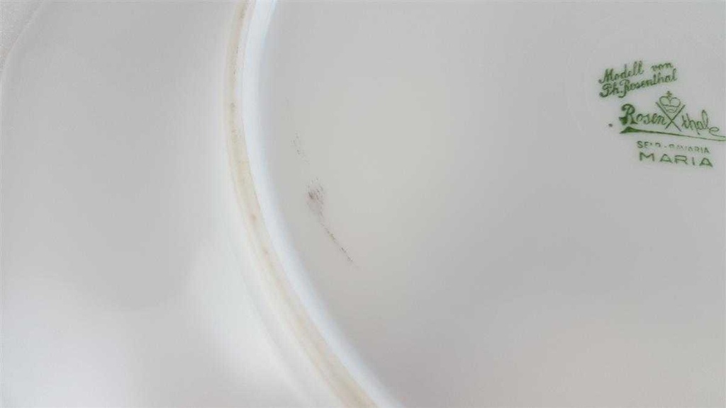 [16021053] Speiseteller Essteller 24,5 cm Rosenthal Maria Streublume I. Wahl gebraucht - sehr gut Bild 4