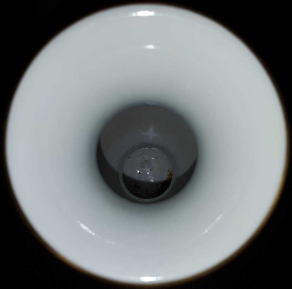 [160310209] Vase Bavaria Germany 29 cm Royal KPM gebraucht - gut Bild 3