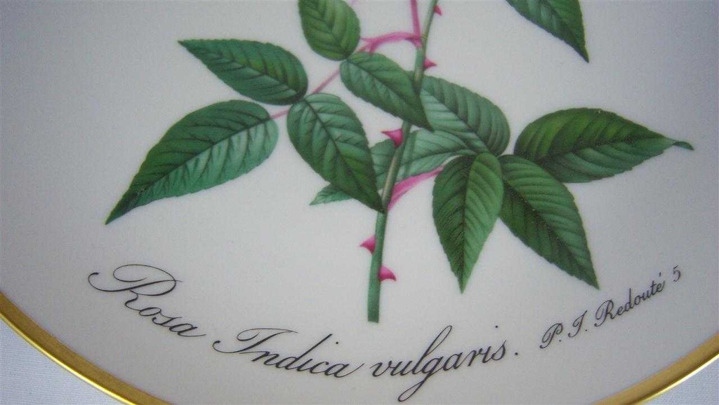 [16071500110] Wandteller Hutschenreuther P.J.Redoute aus dem Rosarium von Malmaison gebraucht - gut Bild 3