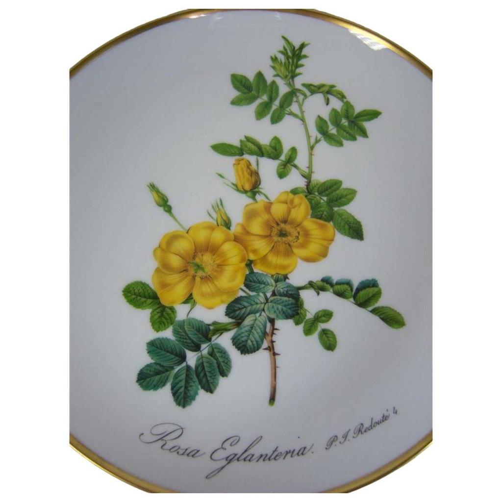 [16071500111] Wandteller Hutschenreuther P.J.Redoute aus dem Rosarium von Malmaison gebraucht - gut Bild 2