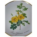 [16071500111] Wandteller Hutschenreuther P.J.Redoute aus dem Rosarium von Malmaison gebraucht - gut Bild 2