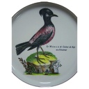 [16080800214] Wandteller Villeroy & Boch Paradiso gebraucht - gut Bild 2