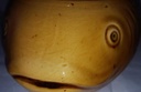 [16101273] Terrine Villeroy & Boch Gallo Neptuno gebraucht - gut Bild 4
