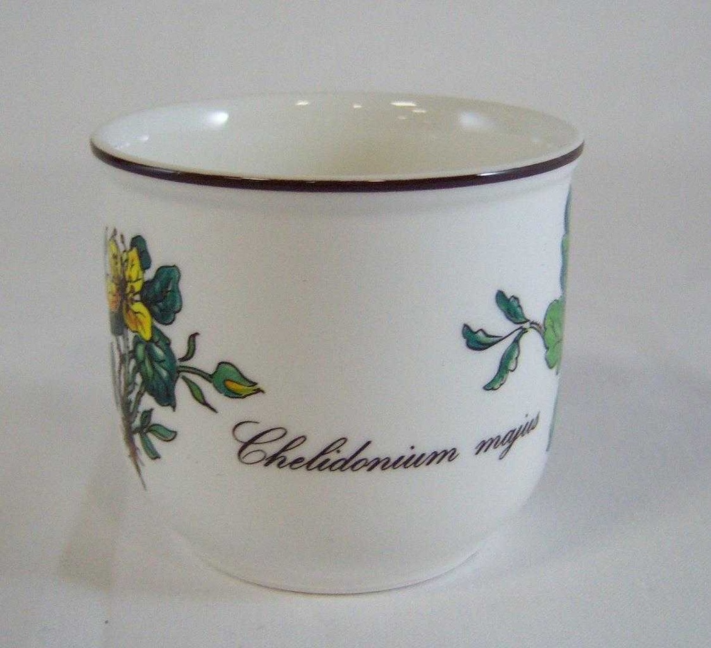 [161025163] Mokkatasse Tasse Espressotasse Villeroy & Boch Botanica I.Wahl gebraucht - sehr gut Bild 2