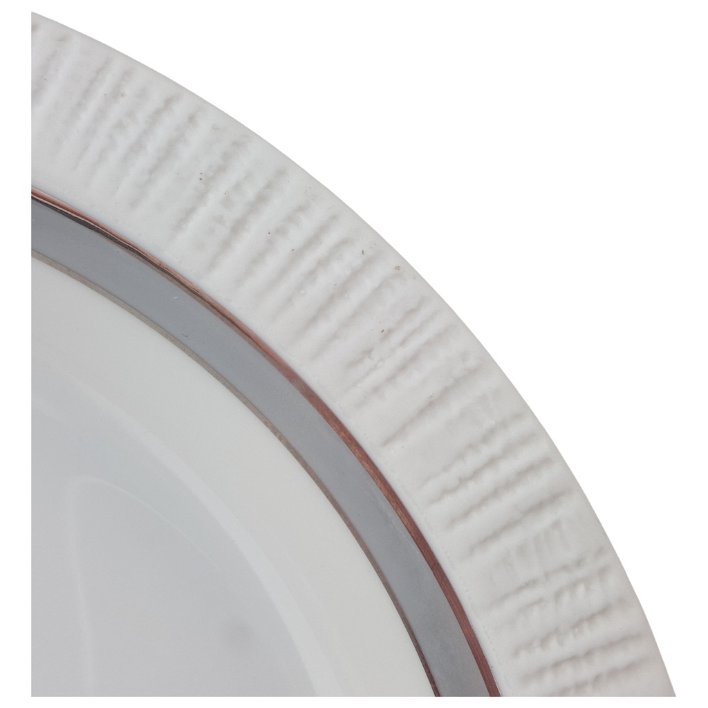 [1780743] Suppenteller 21,6 cm Thomas Porzellan Arcta Platin Grau Bild 5