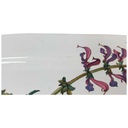 [1818161] Fleischplatte 38,8x22,7 cm Villeroy & Boch Botanica gebraucht - gut Bild 2