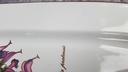 [1818161] Fleischplatte 38,8x22,7 cm Villeroy & Boch Botanica gebraucht - gut Bild 3