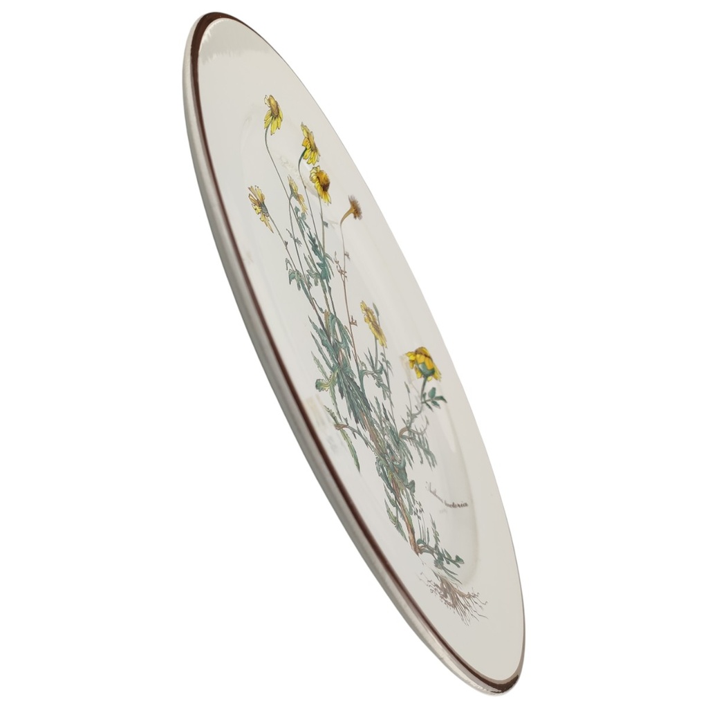 [1818162] Speiseteller Essteller 26,5 cm Villeroy & Boch Botanica II.Wahl Anthemis tinctoria II. Wahl Bild 2