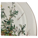 [1818162] Speiseteller Essteller 26,5 cm Villeroy & Boch Botanica II.Wahl Anthemis tinctoria II. Wahl Bild 3
