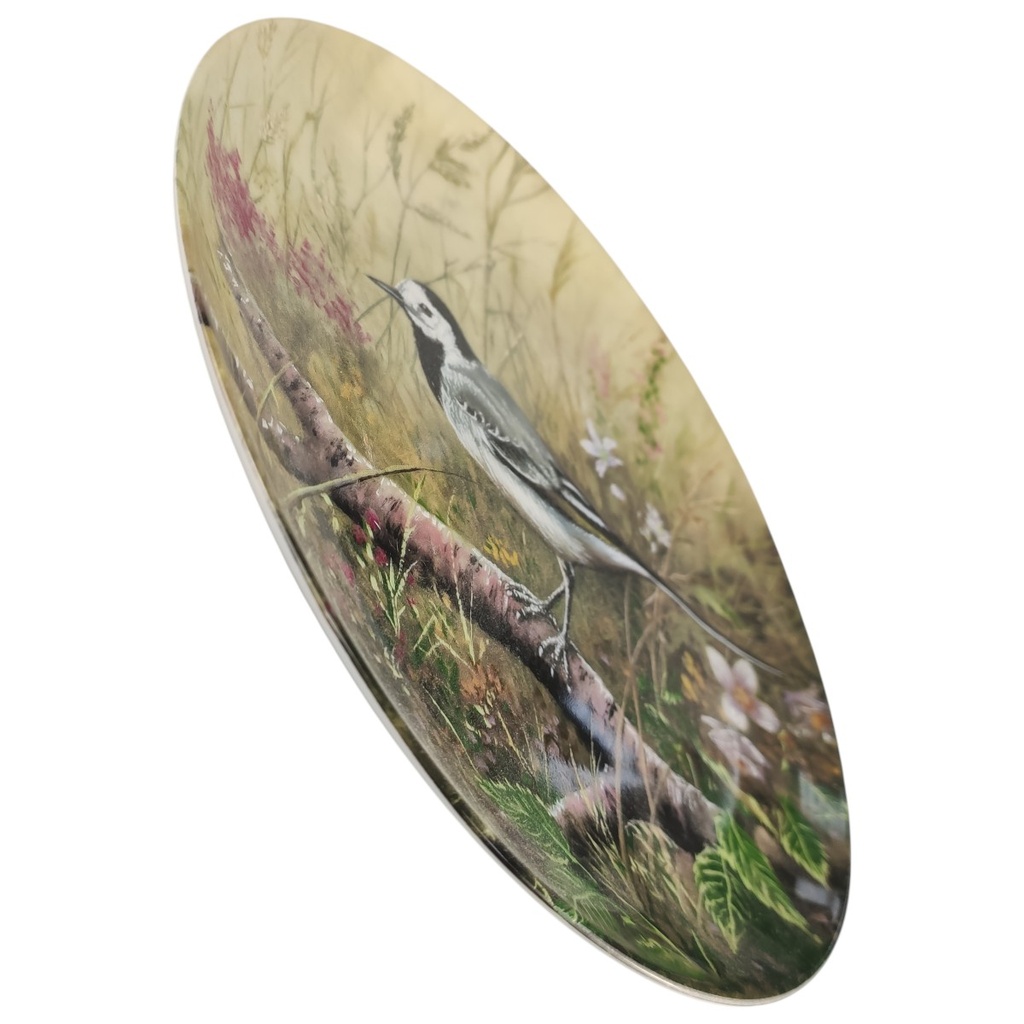 [1818343] Wandteller 19,8 cm Tirschenreuth Unsere kleine Vogelwelt Bachstelze im Wiesengrund gebraucht - neuwertig Bild 2