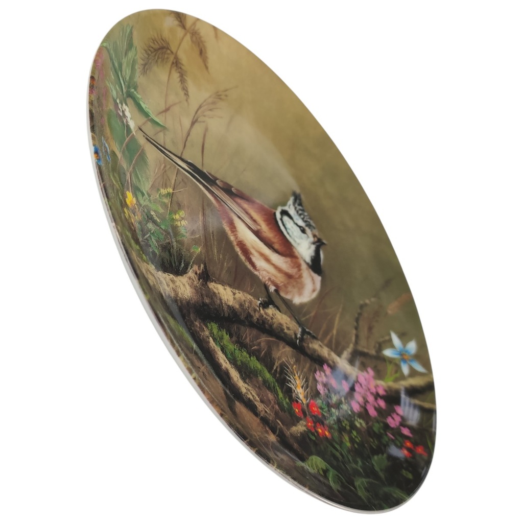 [1818348] Wandteller 19,8 cm Tirschenreuth Unsere kleine Vogelwelt Haubenmeise im Unterholz gebraucht - neuwertig Bild 2