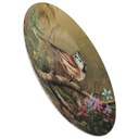 [1818348] Wandteller 19,8 cm Tirschenreuth Unsere kleine Vogelwelt Haubenmeise im Unterholz gebraucht - neuwertig Bild 2