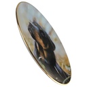 [1818371] Wandteller Sammler Factum Ein verlässlicher Freund Rottweiler John Silver Bild 2