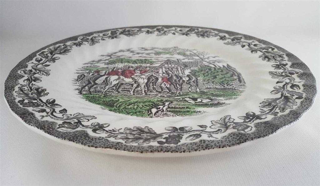 [45811024] Speiseteller Essteller 25 cm Myott Country Life Bunt rot grün gebraucht - gut Bild 2