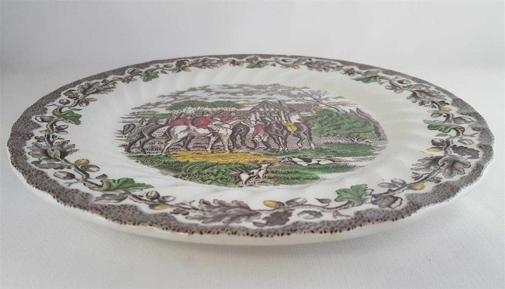 [45811025] Speiseteller Essteller 25,3 cm Myott Country Life Bunt gebraucht - akzeptabel Bild 2