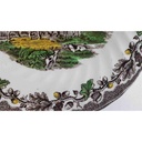 [45811025] Speiseteller Essteller 25,3 cm Myott Country Life Bunt gebraucht - akzeptabel Bild 3