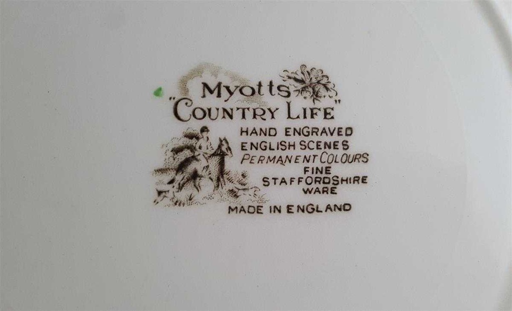 [45811025] Speiseteller Essteller 25,3 cm Myott Country Life Bunt gebraucht - akzeptabel Bild 4