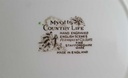 [45811025] Speiseteller Essteller 25,3 cm Myott Country Life Bunt gebraucht - akzeptabel Bild 4