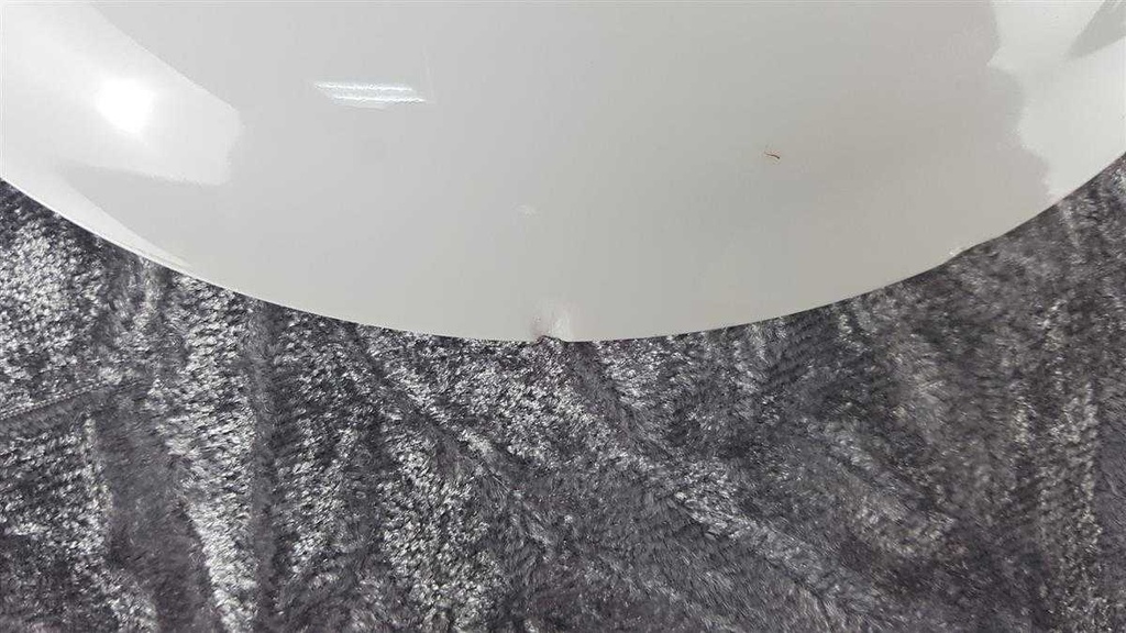 [458110501] Kaffeetasse Kaffeegedeck Kaffeeset Komplett 3tlg Schumann Arzberg Reliefrand rosa Rose gebraucht - akzeptabel Bild 5