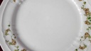 [45811217] Speiseteller Essteller 24,6 cm Eschenbach Salzburg braun grüne Ranke gebraucht - akzeptabel Bild 4