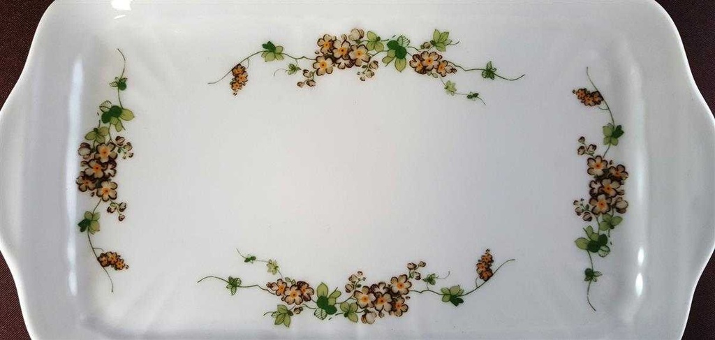 [45811218] Servierplatte Speiseplatte Fleischplatte Tablett für Milch und Zucker 23x12,7 cm Eschenbach Salzburg braun grüne Ranke gebraucht - sehr gut Bild 3