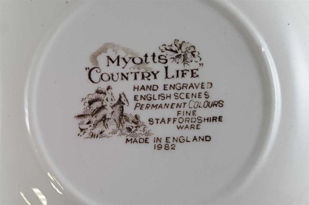 [45811460] Suppenteller 22,2 cm Myott Country Life Bunt rot grün gebraucht - gut Bild 4