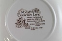 [45811460] Suppenteller 22,2 cm Myott Country Life Bunt rot grün gebraucht - gut Bild 4