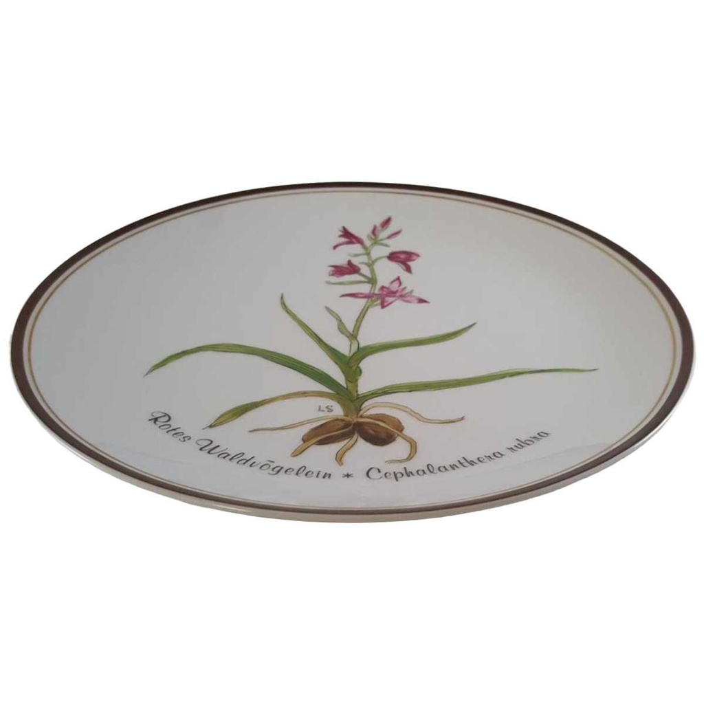 [45811493] Wandteller Rosenthal Loki Schmidt Aus Liebe zur Natur gebraucht - sehr gut Bild 2