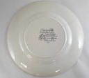 [45811505] Kuchenteller Dessertteller Frühstücksteller 19,6 cm Myott Country Life Rot gebraucht - sehr gut Bild 3
