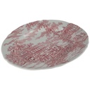 [45811563] Servierplatte Speiseplatte Fleischplatte Steakplatte 31x26 cm Alfred Meakin Coaching Days Rot gebraucht - gut Bild 2