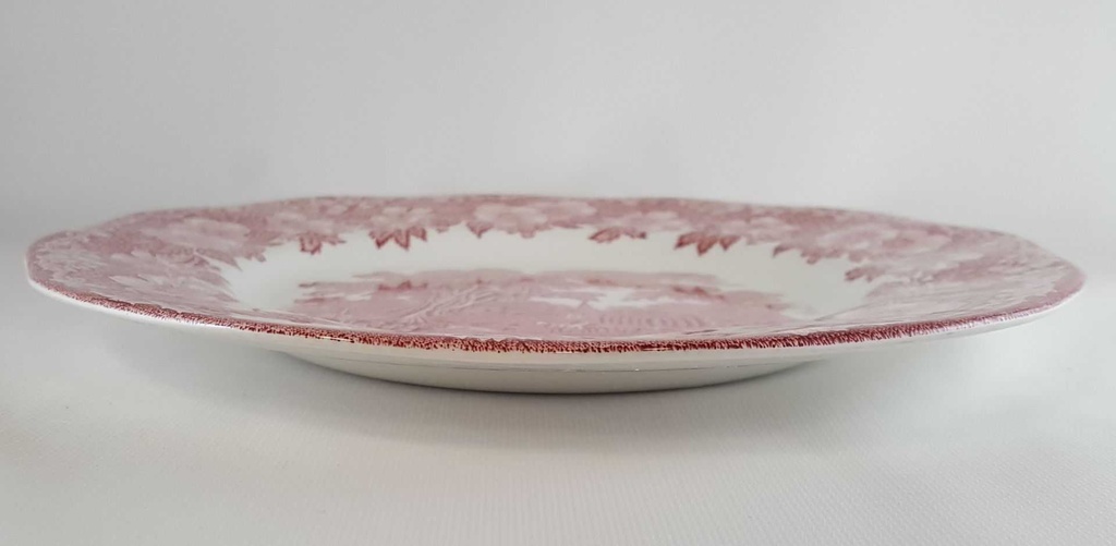 [45811567] Speiseteller Essteller 25 cm Unicorn Woodland Rot Bild 3