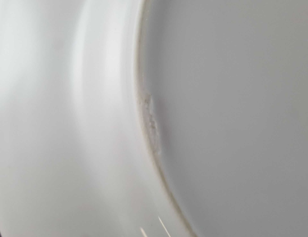 [45811638] Speiseteller Essteller 24,8 cm Retsch Wunsiedel Relief weiß gebraucht - gut Bild 4