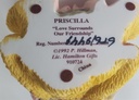 [45811727] Figur Cherished Teddies Priscilla Love Surrounds Our Friendship 1992 gebraucht - sehr gut Bild 5