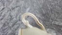 [2118774] 2er Set Teetasse Tasse Golddekor Winterling Elfenbein gebraucht - akzeptabel Bild 3