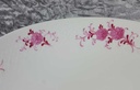 [458118341] Speiseplatte Fleischplatte 31x21,4 cm Seltmann Weiden Annabell rote Blüte 26043 Rosa Bild 4