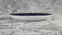 [458118487] Wandteller Rosenthal gebraucht - sehr gut Bild 3