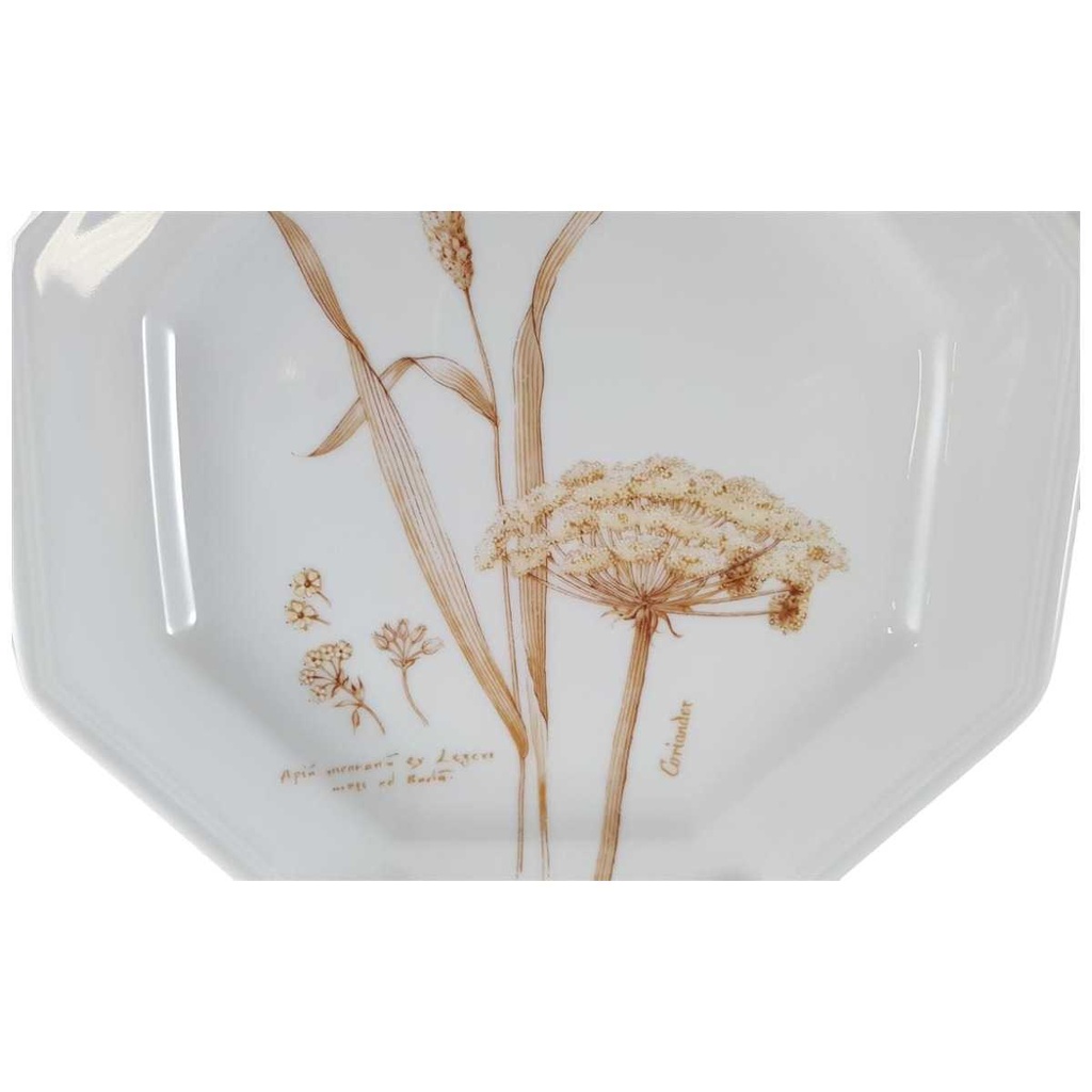 [45811861] Kuchenteller Dessertteller Frühstücksteller 20,5 cm Villeroy & Boch Gallo Leonardo Coriander Feldblüten Braun gebraucht - neuwertig Bild 2