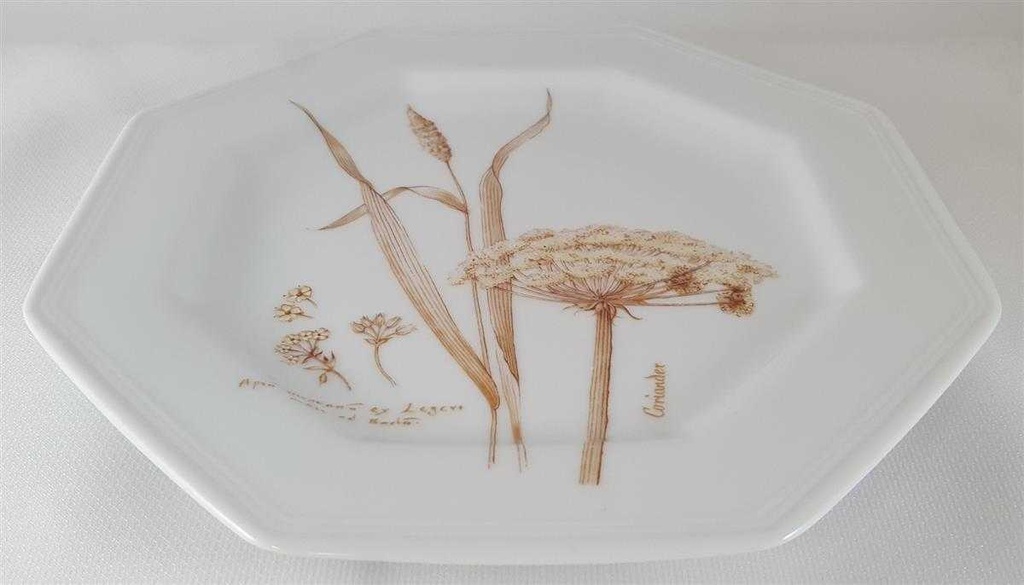 [45811861] Kuchenteller Dessertteller Frühstücksteller 20,5 cm Villeroy & Boch Gallo Leonardo Coriander Feldblüten Braun gebraucht - neuwertig Bild 4