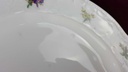 [458118613] Kuchenteller Dessertteller Frühstücksteller 19,5 cm Seltmann Weiden Wien Streublume 26483 gebraucht - akzeptabel Bild 3