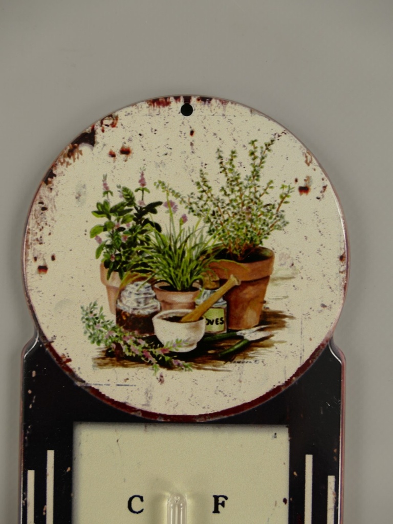 [LA-40078] Eisen Termometer Antik-Stil Blumen H 39x11 cm Bild 2