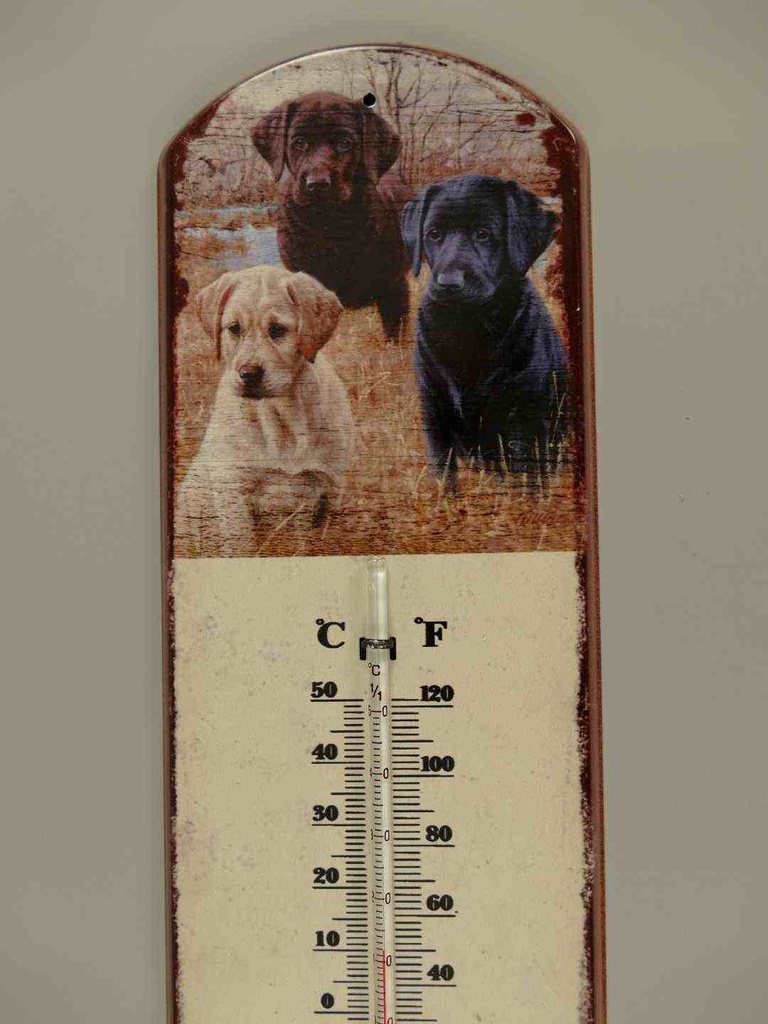 [LA-40086] Eisen Thermometer Antik-Stil Hund H 48x13 cm Bild 3