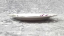 [458119005] Kuchenteller Dessertteller 19,7 cm Winterling Marktleuthen lila Blume Veilchen Silberrand gebraucht - gut Bild 3