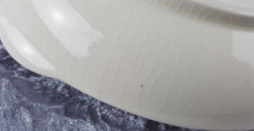[458119226] Schale Royal Winton Grimwades gebraucht - akzeptabel Bild 8