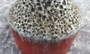 [458119498] Keramik Vase 906 - 16 Tischvase H 16,7 cm Bild 5