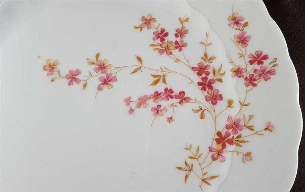 [45811985] Speiseteller Essteller 24,5 cm Eschenbach Bayreuth Marietta Rot gebraucht - neuwertig Bild 4