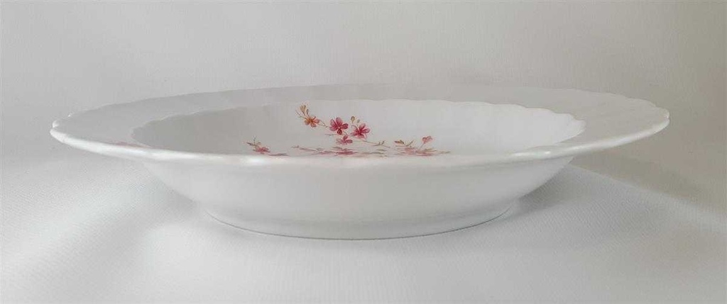 [45812072] Suppenteller 21,2 cm Eschenbach Bayreuth Rote Ranke gebraucht - neuwertig Bild 3