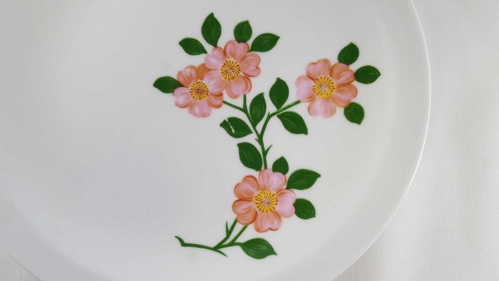 [45812577] Kuchenteller Dessertteller Frühstücksteller 20 cm Bareuther Waldsassen Rosa Blüten gebraucht - akzeptabel Bild 2