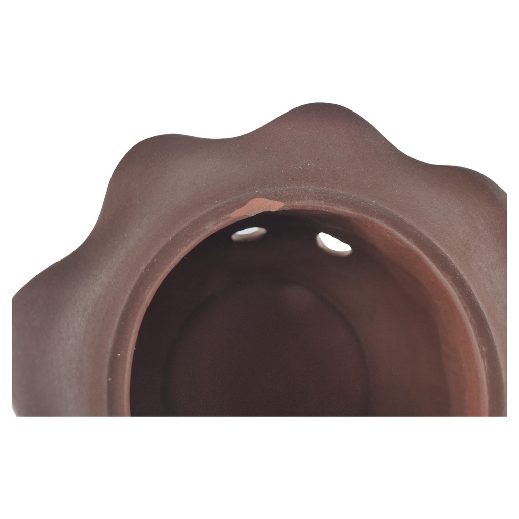 [1805952] Zwiebeltopf Vorratsdose Zwiebeldose Zwiebelbehälter Deckeldose Formano Bild 3